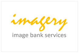 plateforme de visualisation